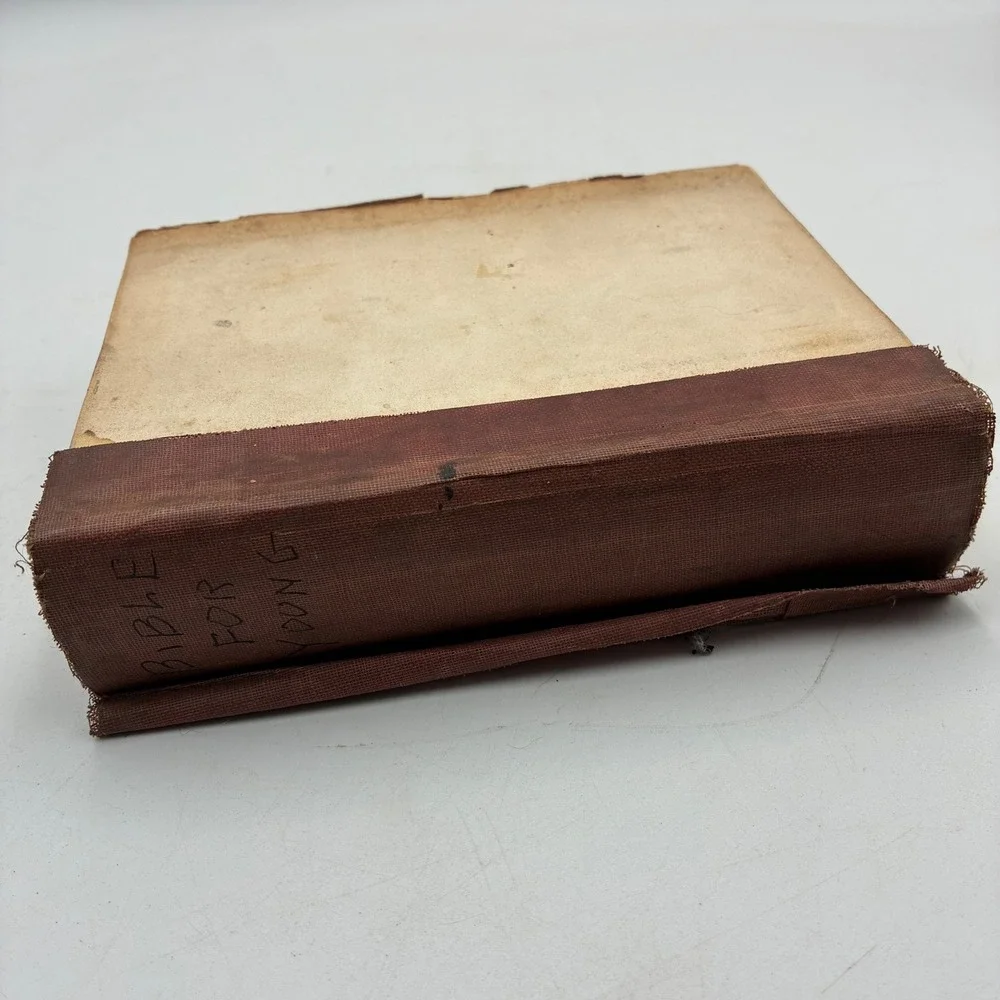 Illustrated Scripture History for the Young Rev John Howard Vol I Virtue Yorston